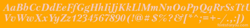 PetersburgattBolditalic Font – Pink Fonts on Orange Background