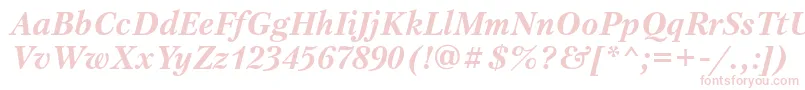 PetersburgattBolditalic Font – Pink Fonts