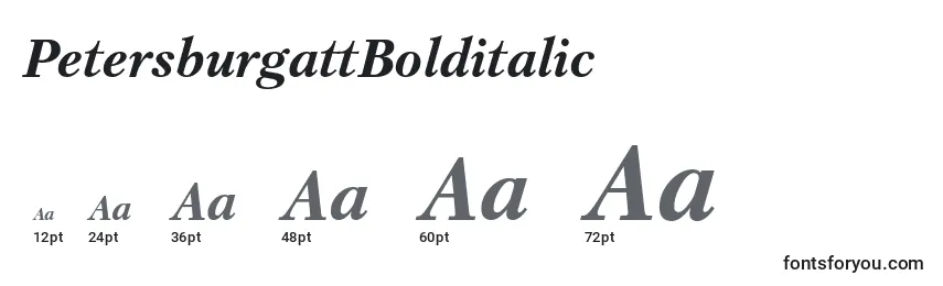 PetersburgattBolditalic Font Sizes