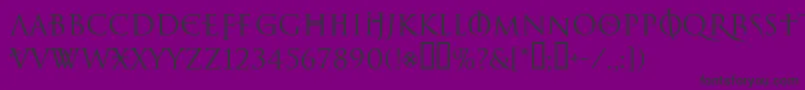 LelfNoirDuMalNormal Font – Black Fonts on Purple Background