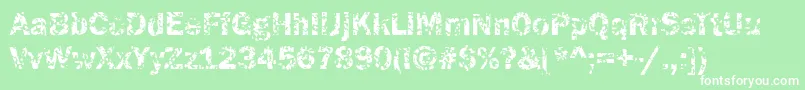 Funky05Bold Font – White Fonts on Green Background