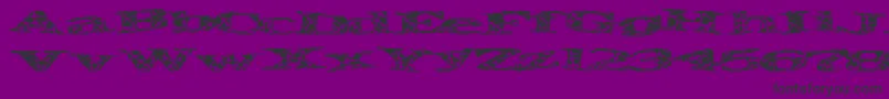 Piratespider Font – Black Fonts on Purple Background