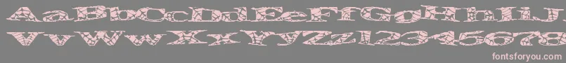 Piratespider Font – Pink Fonts on Gray Background