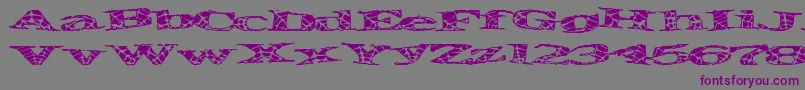 Piratespider Font – Purple Fonts on Gray Background