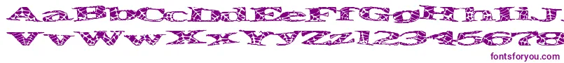 Piratespider-fontti – violetit fontit
