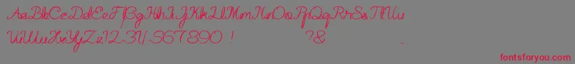 HallOfFame Font – Red Fonts on Gray Background