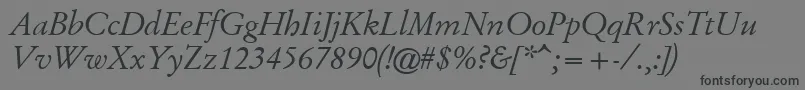 GaramondKursiv Font – Black Fonts on Gray Background