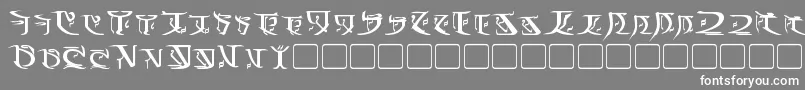 フォントFalmerBold – 灰色の背景に白い文字