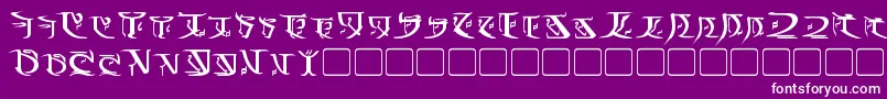 フォントFalmerBold – 紫の背景に白い文字