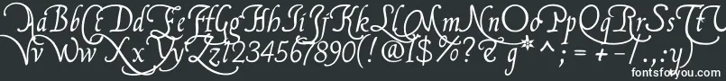 Flbrsa2u-Schriftart – Weiße Schriften auf schwarzem Hintergrund