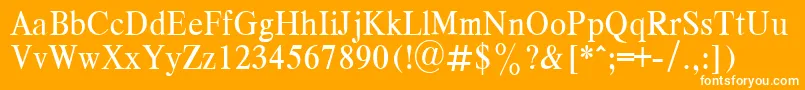 フォントRespectPlain.001.00190n – オレンジの背景に白い文字