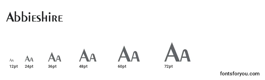 Abbieshire Font Sizes