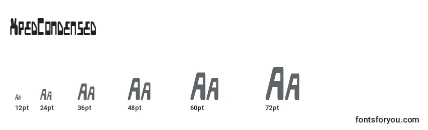 XpedCondensed Font Sizes