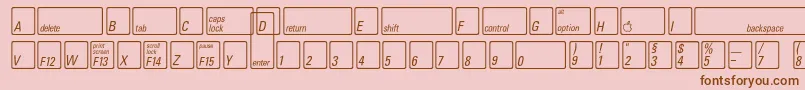 KeyfontdeutschBold Font – Brown Fonts on Pink Background