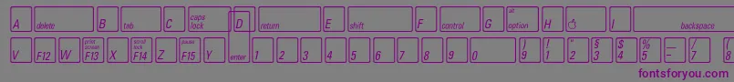 KeyfontdeutschBold Font – Purple Fonts on Gray Background