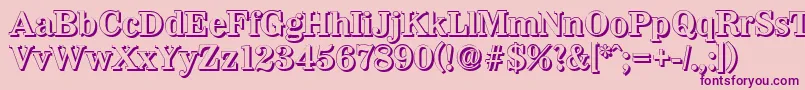 WichitashadowBold Font – Purple Fonts on Pink Background