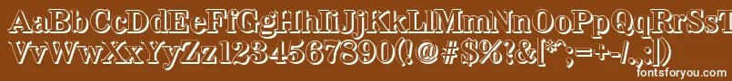 WichitashadowBold-fontti – valkoiset fontit ruskealla taustalla