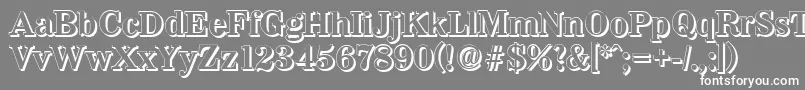 Шрифт WichitashadowBold – белые шрифты на сером фоне