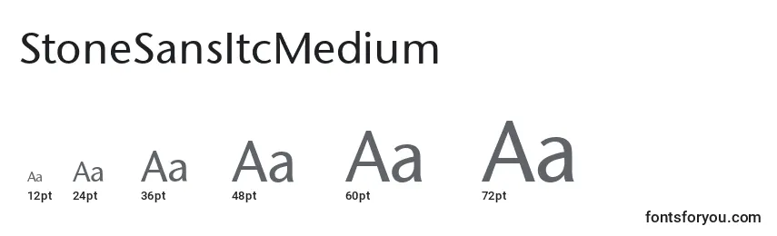 Размеры шрифта StoneSansItcMedium