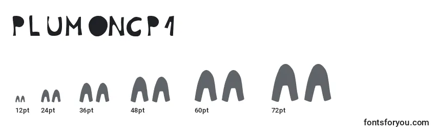 Размеры шрифта PlumonCp1