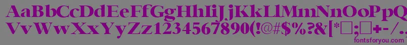 Шрифт IngenuesskRegular – фиолетовые шрифты на сером фоне