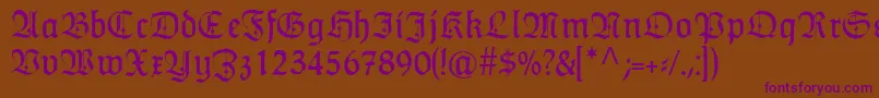 HumboldtfrakturZier Font – Purple Fonts on Brown Background