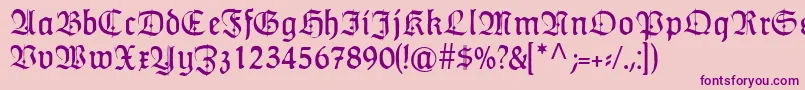 HumboldtfrakturZier Font – Purple Fonts on Pink Background