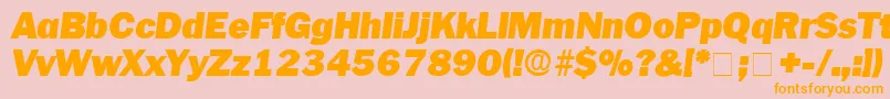 PaschDisplaySsiItalic Font – Orange Fonts on Pink Background