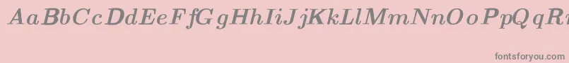 CmTextBolditalicext-Schriftart – Graue Schriften auf rosa Hintergrund