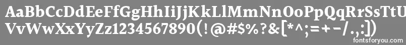 フォントHalantBold – 灰色の背景に白い文字