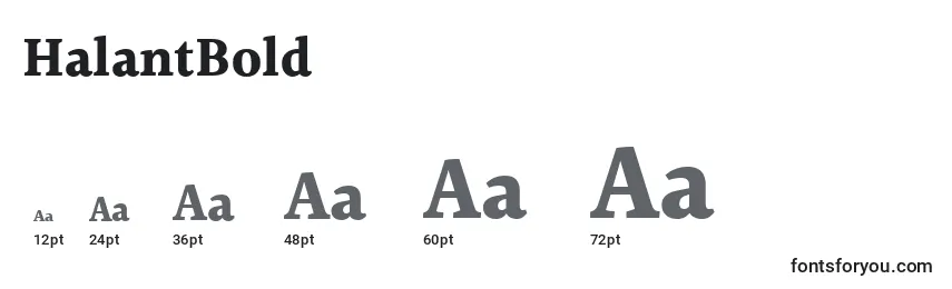 HalantBold Font Sizes