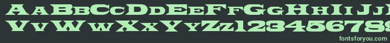 PonchoRegular Font – Green Fonts on Black Background