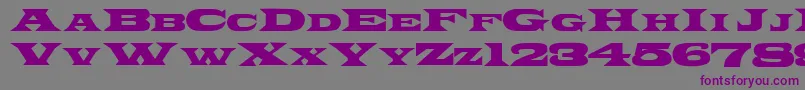 PonchoRegular Font – Purple Fonts on Gray Background