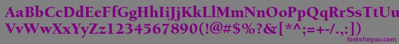 BerkeleystdBlack Font – Purple Fonts on Gray Background