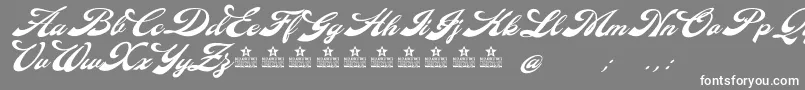 DiamondePersonalUse Font – White Fonts on Gray Background