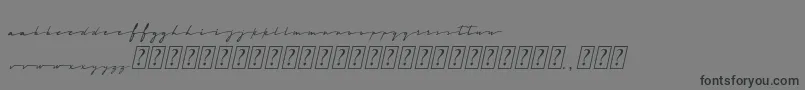 MidnightCali Font – Black Fonts on Gray Background