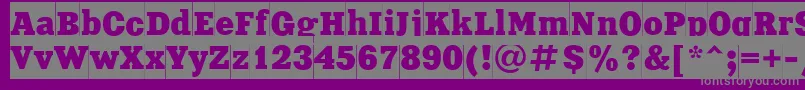 Xeniacameoctt Font – Gray Fonts on Purple Background