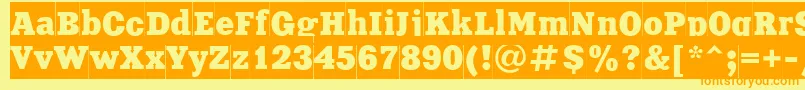 Xeniacameoctt Font – Orange Fonts on Yellow Background