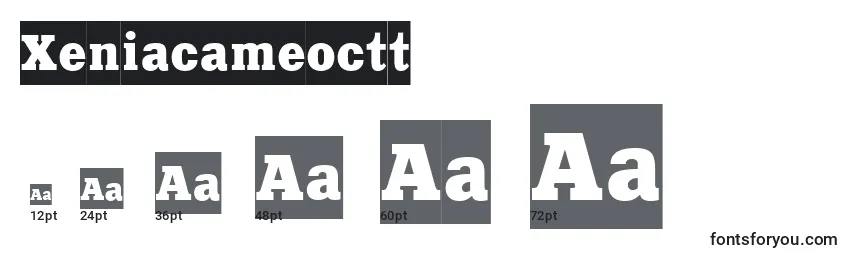 Xeniacameoctt font sizes