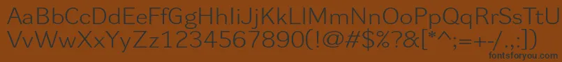 Dynagrotesklxe Font – Black Fonts on Brown Background