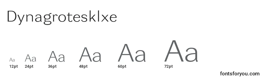 Размеры шрифта Dynagrotesklxe