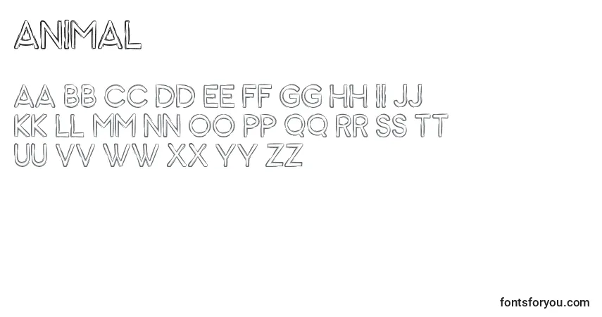 Czcionka Animal – alfabet, cyfry, specjalne znaki