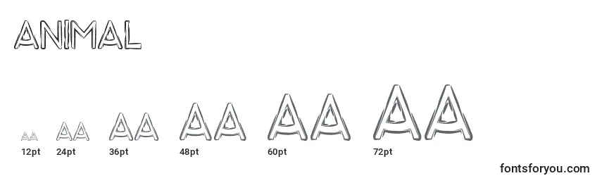 Animal Font Sizes