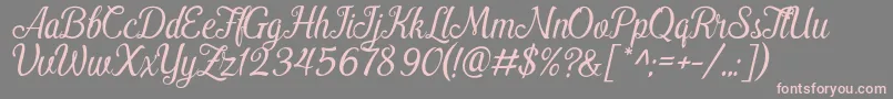 PamegaDemo Font – Pink Fonts on Gray Background