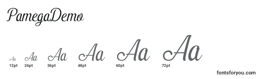 PamegaDemo Font Sizes