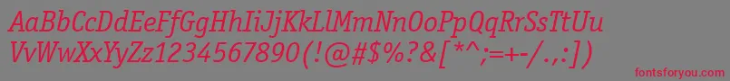 OfficinaSerifItcTtBookita Font – Red Fonts on Gray Background