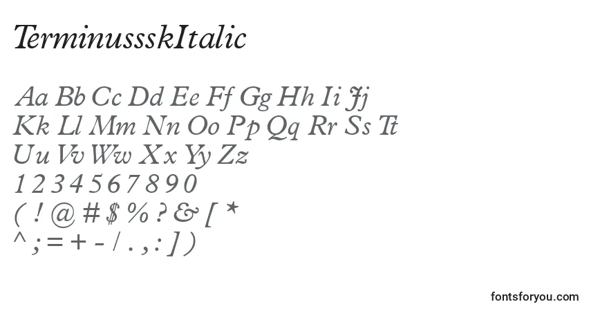 A fonte TerminussskItalic – alfabeto, números, caracteres especiais