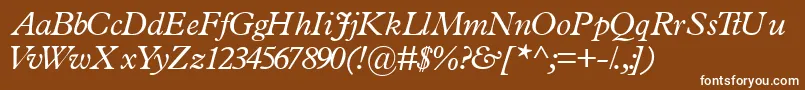 TerminussskItalic Font – White Fonts on Brown Background