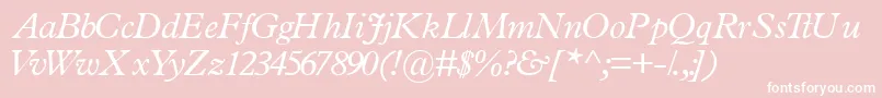 TerminussskItalic-Schriftart – Weiße Schriften auf rosa Hintergrund