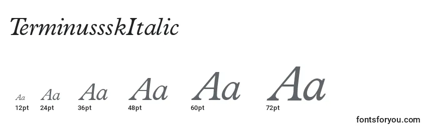 Размеры шрифта TerminussskItalic
